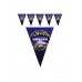 Roblox 11 Bayraklı Büyük Üçgen Flama 2mt Doğum Günü Parti Süsü
