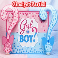 Cinsiyet Öğrenme Partisi