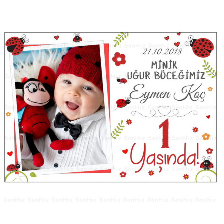 1 Yaş Doğum Günü Süsleme Seti Bebek Uğur Böceği Konsepti