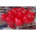100 Adet Baskısız Kırmızı Kalp Balonu, Kalp Balonları Satın Al