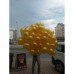 100 lü Adet Metalik Parlak Sedefli Gold Lateks Renkli Balon
