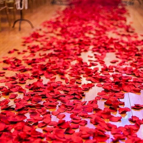1000 Adet Gül Yaprağı, Romantik Süsleme Gül Yaprakları