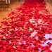 25 Kalp Balon Kırmızı 500 Gül Yaprağı Romantik Aşk Paketi Süsleme