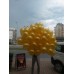 50 ADET METALİK SEDEFLİ ALTIN SARISI GOLD RENGİ DORE BALON