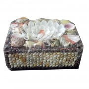 Deniz Kabuklu Dikdörtgen Şeklinde Hediyelik Kutu 14cm