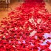 Evlilik Teklifi 1000 Gül Yaprakları 20 Kalp Mum ve 20 Balon - Parti Dolabı