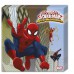 Spiderman Konseptli Doğum Günü Paketi, Örümcek Adam Temalı Set